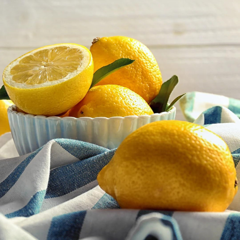 Fresh Meyer Lemon Tree Live Plant for Planting | 1–2 Ft Live Potted Citrus Plant | Edible Indoor or Outdoor Fruit Tree for Home Gardens, Patios & Containers | No Ship to CA,HI,AK