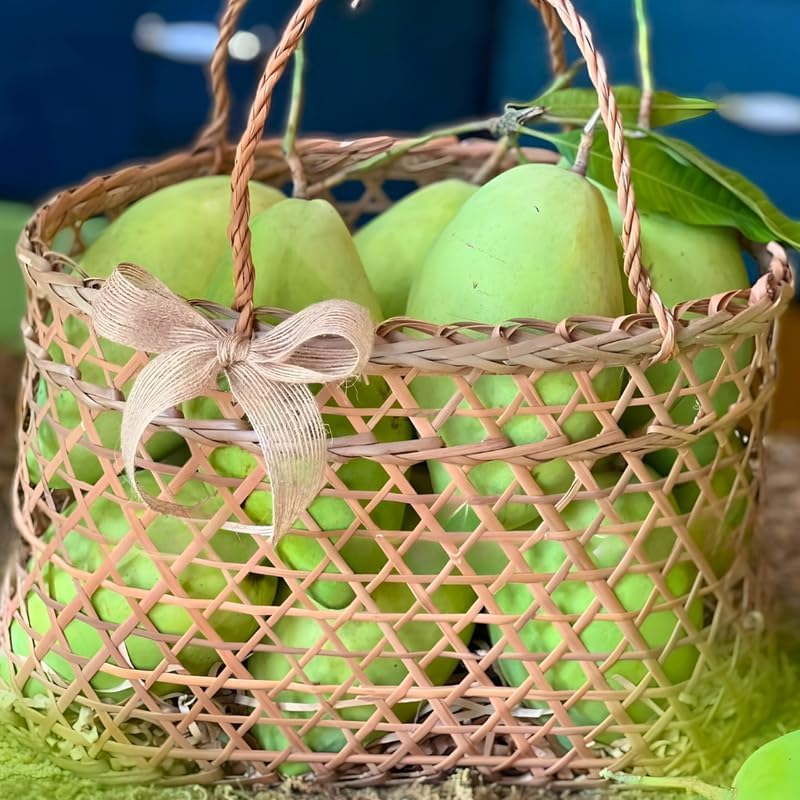 Carrie Mango Tree Live Plant | Fruit Tree 2.5–3 Ft Tall for Planting| Premium Tropical Mango Plant for Patio Containers, Yard Planting & Garden Landscapes | No Ship CA, HI, AK