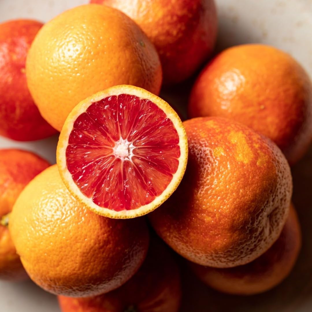 Blood Oranges Fresh | Orange Trees Live Plants | 2.5–3 Feet Live Potted Citrus Plant | Sweet Juicy Fruit Tree for Indoor & Outdoor Spaces | No Ship to CA,HI,AK