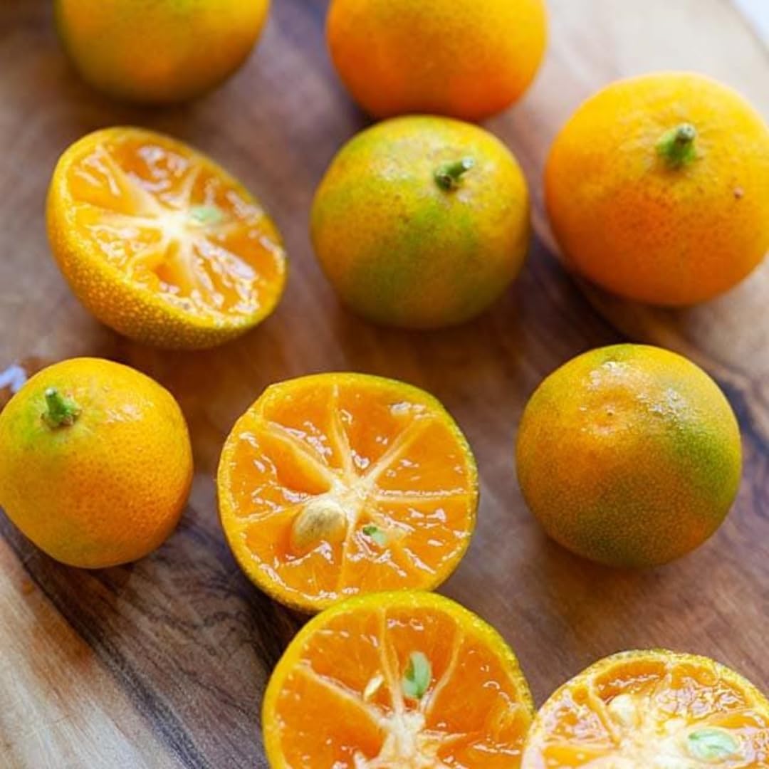 (No Ship to CA,HI,AK) Kishu Mandarin Oranges Tree Live Plant | 1 Gallon Live Potted Citrus Tree | Sweet Juicy Fruit for Cooking Juicing & Home Gardening
