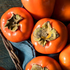 2 American Persimmon Tree for Planting – 12 to 24 Inch Tall Potted Live Fruit Plant | No Ship to CA