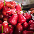 Rose Apple Tree Plant, Sweet Wax Red Jambu Fruit Tree | 30-36 Inches Potted Tropical Plant Seedling | Syzygium Jambos with Early Fruiting Potential for Home Growers | No Ship to CA,HI,AK