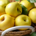 (No Ship to CA, HI, AK) Live Golden Delicious Apple Tree Plant in 3 Gallon Pot, Apple Trees Live Plants Ready to Fruit, Live Fruit Trees for Outdoor Planting