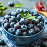 Brightwell Blueberry Trees Live Plants, 1-2 Feet Tall (2 Gal Pot) - Sweet Blue Berries Live Plants for Planting Indoor Outdoor (No Ship to CA, HI, AK)