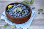 (No Ship to CA,HI,AK) Austin Blueberry Plants Live for Planting - 1 to 2 Feet Tall in 2 Gallon Pot, Fast Growing Blueberries Fruit Trees Live Plants for Patio and Garden