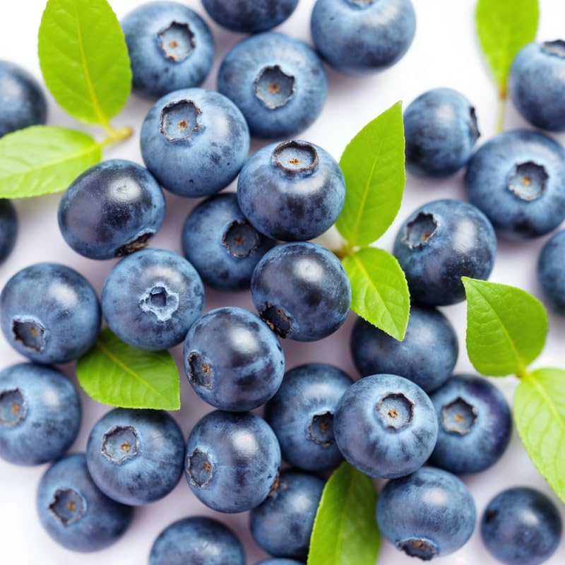 (No Ship to CA, HI, AK) Sweet Blue Berry Live for Planting - 1 to 2 Feet Live Blueberries Plants in 1 Gallon Pot, Perfect for Yard Landscape and Containers