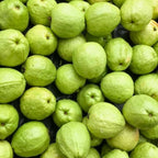 Ruby Guava Tree for Planting | Fresh Fruit 3 Ft Tall | Ideal Guava Tree Live Plant for Home Gardens & Patio Containers