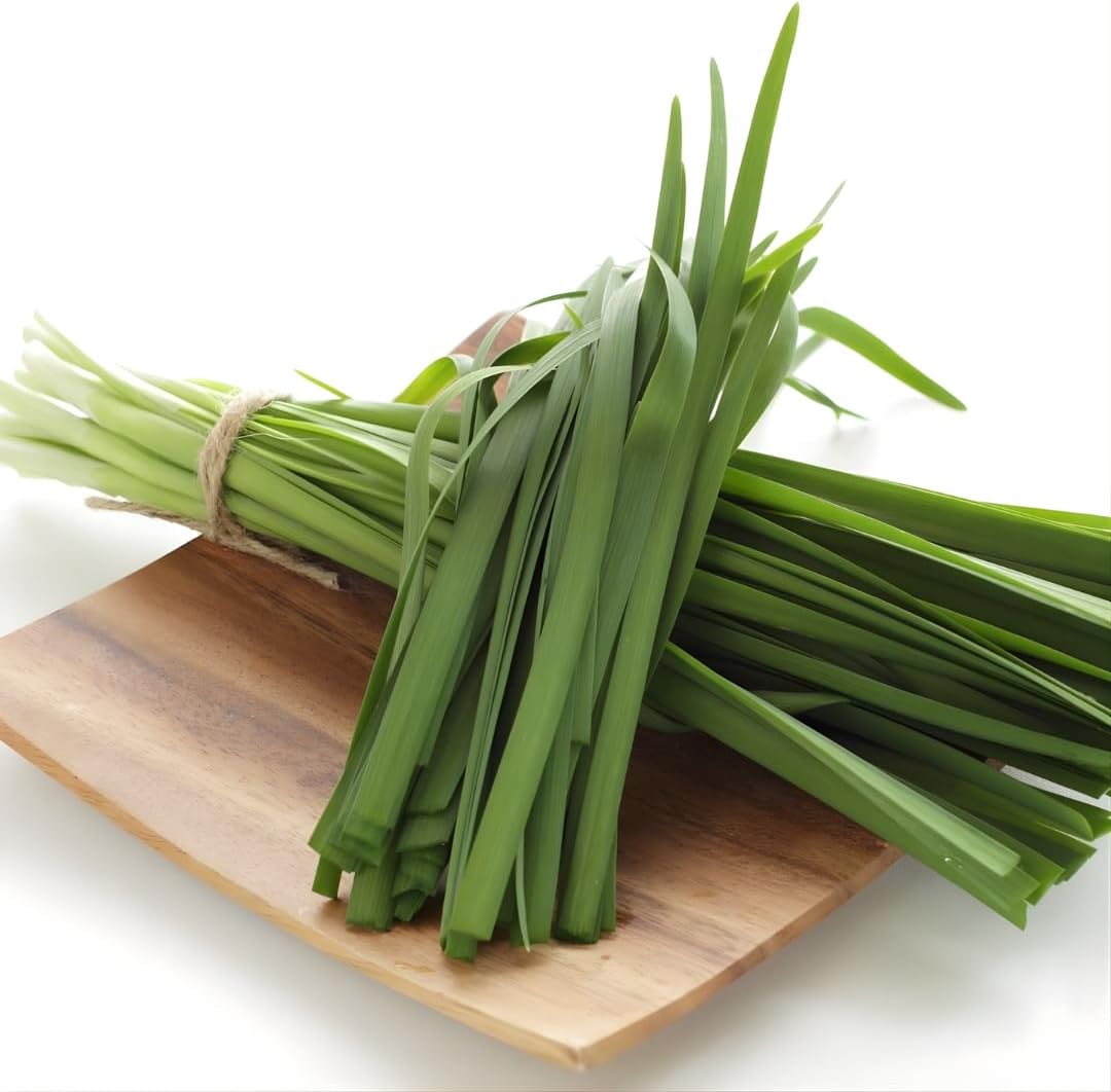 Pandan Plants Live for Planting | 1–2 Ft Pandanus Amaryllifolius | Fragrant Tropical Leaf Plant for Cooking & Home Gardens | No Ship to CA,HI,AK