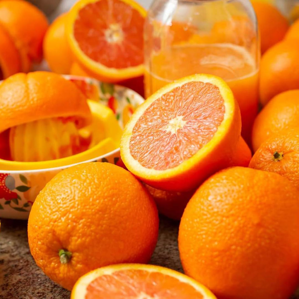 (No Ship to CA,HI,AK) Hamlin Orange Trees Live Plants| 1 Gallon Live Potted Citrus Plant | Sweet Juicy Fruit Tree for Indoor & Outdoor Spaces