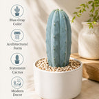Gymnocalycium Horstii Green Tomato Cactus Plant Live, 4" Pot, Fully Rooted, Easy Care, Unique Ornamental Live Succulent Plant for Home, Office & Indoor Displays