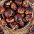 2 Chinese Chestnut Tree Live Plant – 2 to 3 Ft Tall | Hardy Fruit Tree Producing Edible Chestnuts | Fast-Growing Tree for Home Orchard