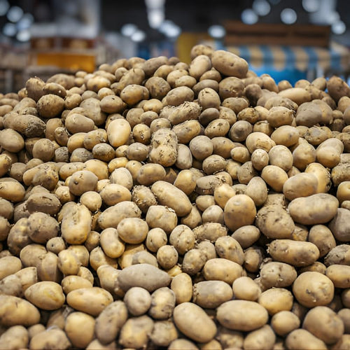 4 Lbs Russet Potato Seeds for Planting Outdoors, Heirloom Seed Potatoes, Non GMO Vegetable Seeds