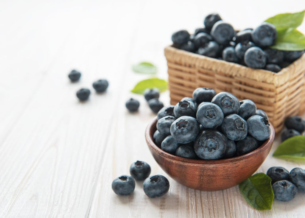 (No Ship to CA, HI, AK) Sweet Brightwell Blueberry Live Plant - 1 to 2 Feet Live Blueberry Plants in 2 Gallon Pot, Perfect for Yard Landscape and Containers