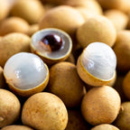 Longan Kohala Live Plant | Dragon Eye Tropical Live Plant |30-36 Inches Tall | Outdoor & Container Growing | No Ship to CA,HI,AK