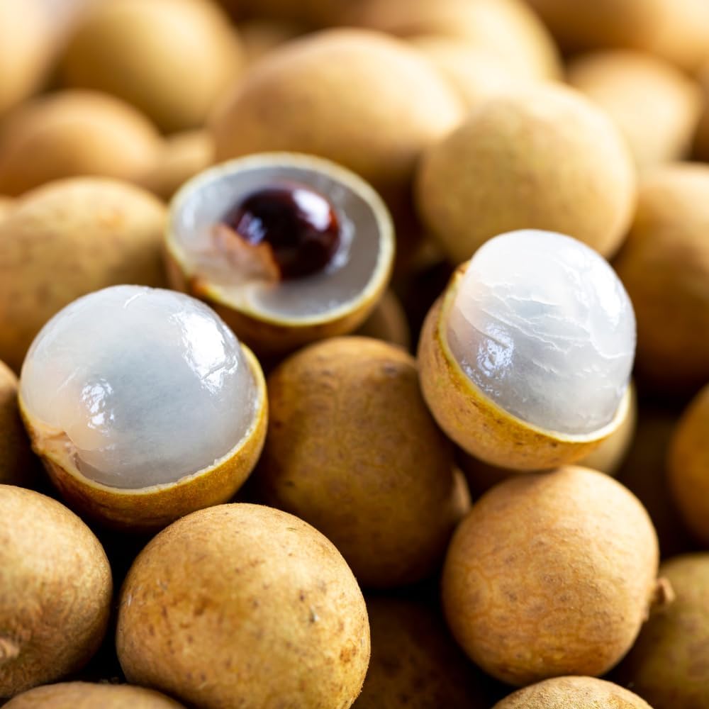 Longan Kohala Live Plant | Dragon Eye Tropical Live Plant |30-36 Inches Tall | Outdoor & Container Growing | No Ship to CA,HI,AK