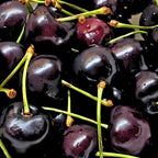 2 Live Black Cherry Tree for Planting 6–12 Inches Tall | Sweet Cherry Plant Live for Outdoor Garden Planting, Backyard Use & Landscape Design