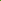 10 Cinnamon Ferns Live Plants Outdoor, Well-Rooted Rhizome Starters, Cold-Hardy Shade Plant for Home Landscapes and Large Pots