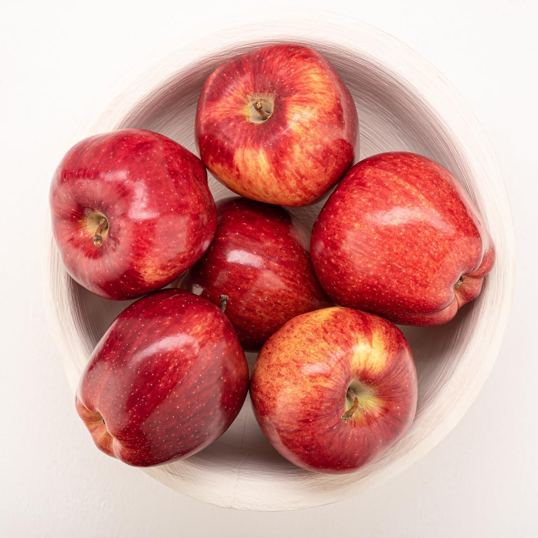 (No Ship to CA, HI, AK) Red Delicious Apple Tree Live Plant in 3 Gallon Pot, Fast Growing Apple Trees Live Plants Ready to Fruit, Perfect for Home Backyard and Garden