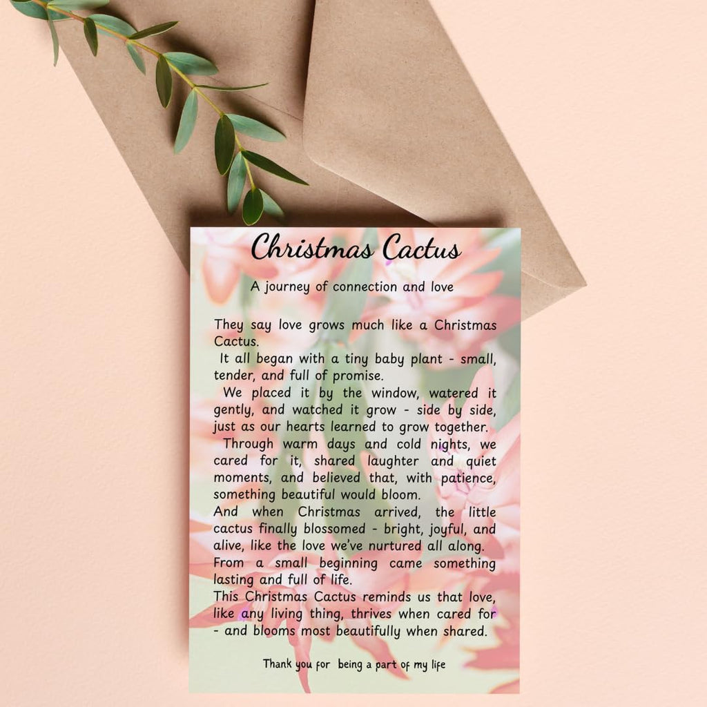 Yellow Christmas Cactus Plant for Planting | 3 to 4 Inch Tall Indoor | Live Christmas Plants Indoor Bareroot | Gift Card Presents for Mom Birthday Gift for New Home