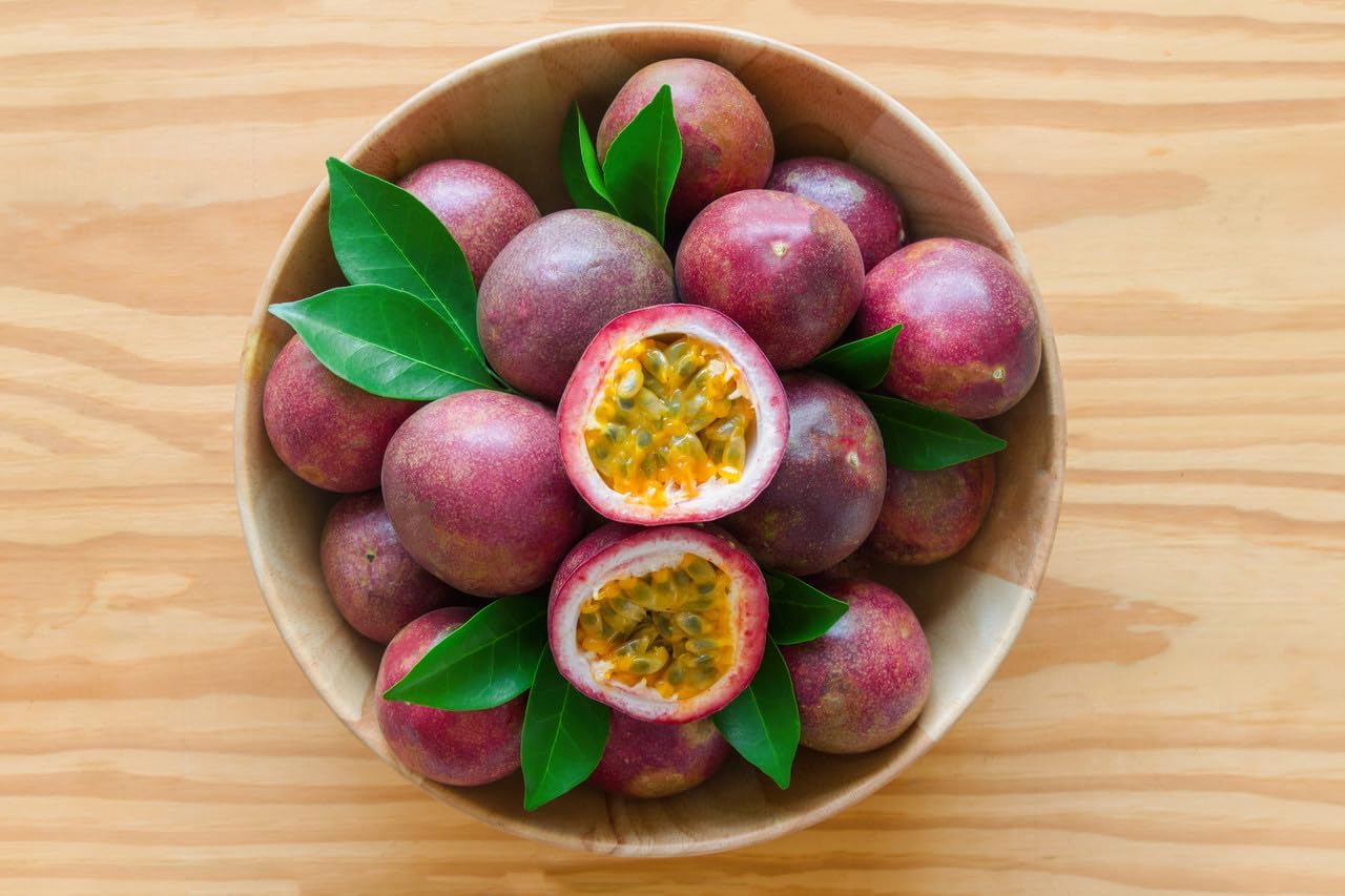 (No Ship to CA, HI, AK) Live Red Passion Fruit Tree Plant - 1 to 2 Feet Tall in 1 Gallon Pot, Cold Hardy Passionfruit Fruit Trees Live Plants for Outdoor Garden
