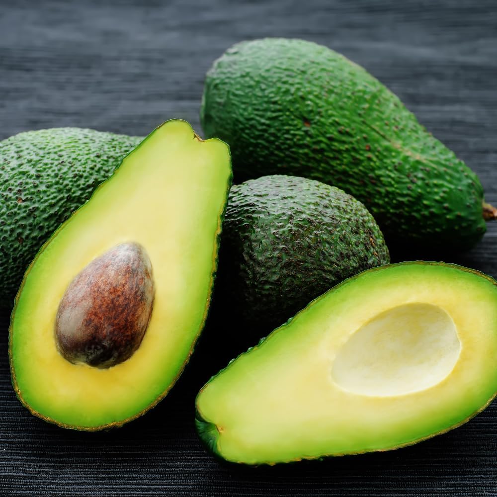 (No Ship to CA,HI,AK) Avocado Tree Live Plant, 3 Gallons Pot, Vigorous Evergreen Shade Tree for Backyard Gardens & Orchard Planting, Grow Delicious Creamy Avocados at Home