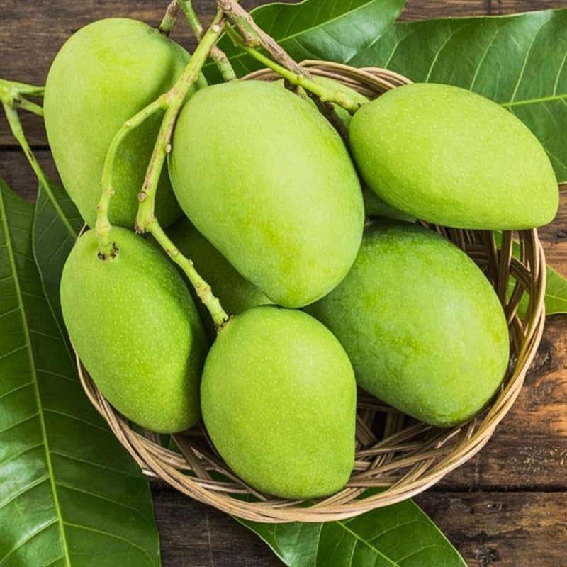 Carrie Mango Trees Live Plants |Sweet Fruit Tree 2.5–3 Ft Tall | Compact Tropical Mango Variety with Rich, Aromatic Fruit | Ideal for Yard, Patio & Warm-Climate Gardens | No Ship CA, HI, AK