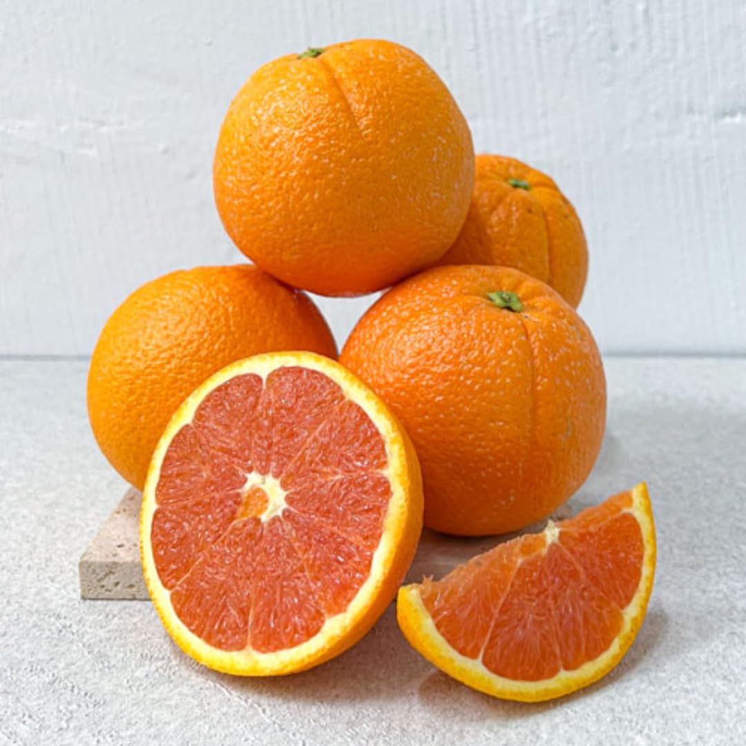 Tango Mandarin Oranges Tree Live Plant | 2.5–3 Feet Live Potted Citrus Tree | Sweet Juicy Fruit for Cooking Juicing & Home Gardening | No Ship to CA,HI,AK