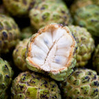 Green Sugar Apple Tree Live Plant | Tropical Annona Squamosa Custard Apple Tree | 30-36 Inches Tall | Well Rooted | Easy to Grow | Live Plant | No Ship to CA,HI,AK