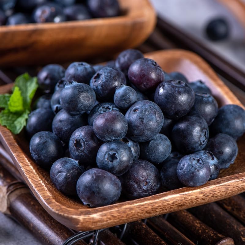 (No Ship to CA,HI,AK) Sweet Austin Blue Berry Live for Planting - 1 to 2 Feet Live Blueberries Plants in 2 Gallon Pot, Perfect for Yard Landscape and Containers