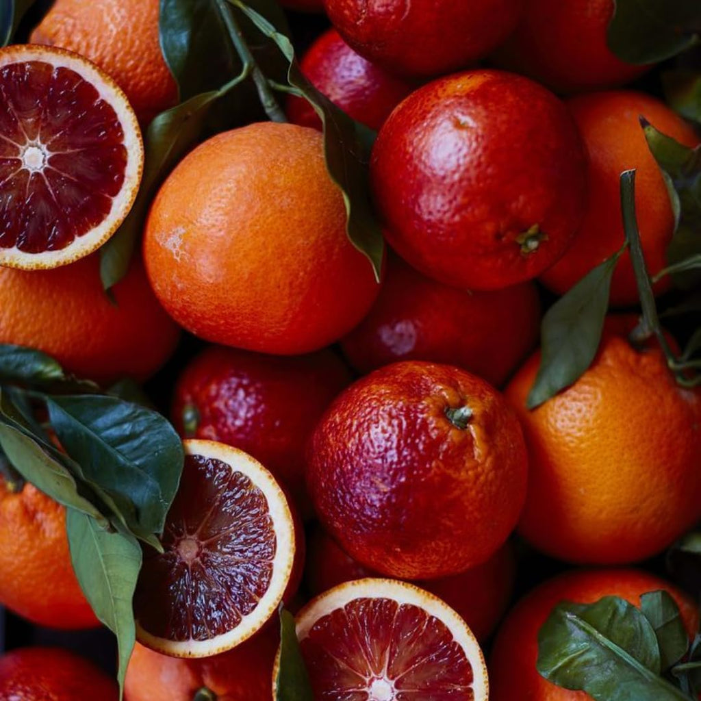 (No Ship to CA,HI,AK) Kishu Mandarin Oranges Tree Live Plant | 1 Gallon Live Potted Citrus Tree | Sweet Juicy Fruit for Cooking Juicing & Home Gardening