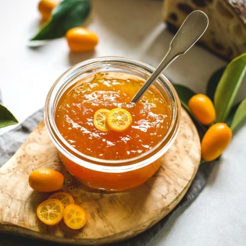 Meiwa Kumquat Tree Live Plants 3 Ft Tall Tall | Fresh Sweet Kumquats | Fragrant Citrus Blooms | Versatile Live Fruit Trees for Outdoor or Patio Planting