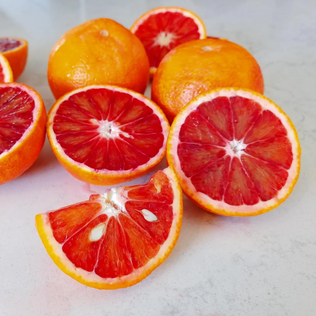 Hamlin Orange Tree for Planting | 2.5–3 Ft Live Citrus Plant | Easy-Grow Edible Fruit Tree for Home Gardens & Patios | No Ship to CA,HI,AK