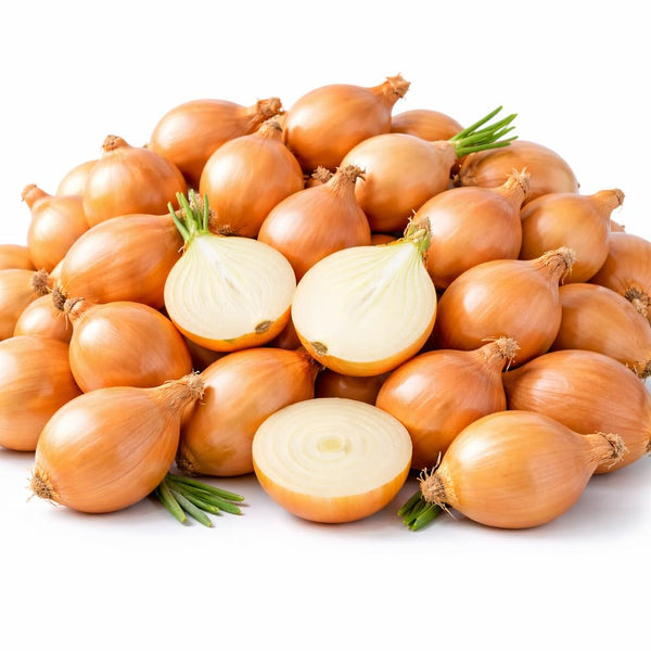 100 Red Onion Bulbs for Planting, Non-GMO, High Yield Onion Sets, Fast-Growing Vegetable Bulbs for Outdoor Gardens, Raised Beds & Containers