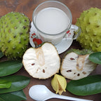 No Ship to CA, HI, AK, Soursop Tree Live Plant, Well-Rooted 24-30" Potted Annona Muricata, Tropical Evergreen Fruit Tree for Home Orchards