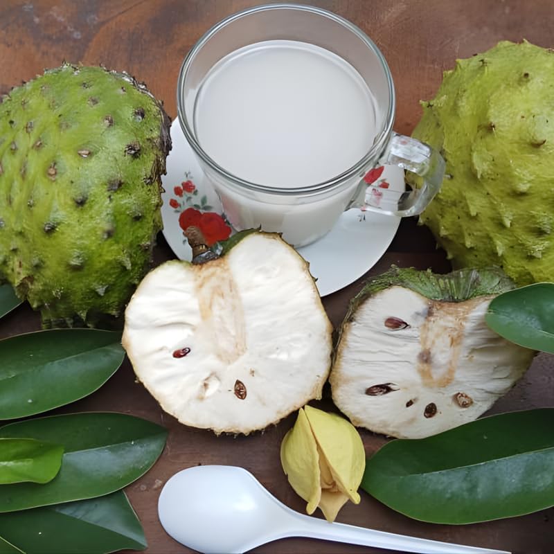 No Ship to CA, HI, AK, Soursop Tree Live Plant, Well-Rooted 24-30" Potted Annona Muricata, Tropical Evergreen Fruit Tree for Home Orchards
