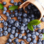 (No Ship to CA, HI, AK) Sweet Brightwell Blueberry Live Plant - 1 to 2 Feet Live Blueberry Plants in 1 Gallon Pot, Perfect for Yard Landscape and Containers
