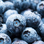(No Ship to CA, HI, AK) Blueberries Tree Live Plants, 1-2 Feet Tall (1 Gal Pot) - Sweet Blue Berries Live Plants for Planting Outdoor