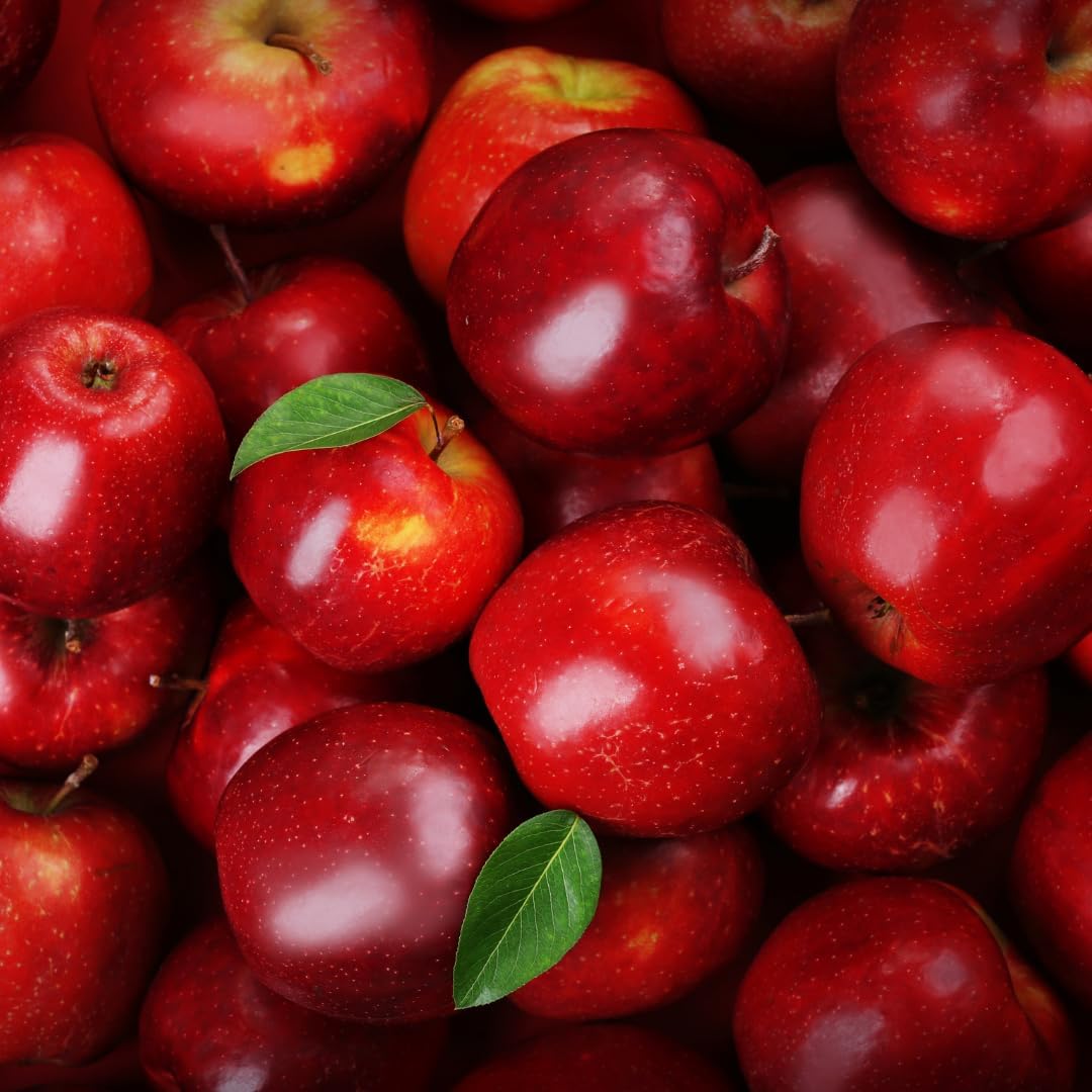 (No Ship to CA, HI, AK) Apple Trees Live Plants in 3 Gallon Pot, Fruit Trees Live Plants Ready to Fruit, Live Zestar Apple Trees for Outdoor Planting