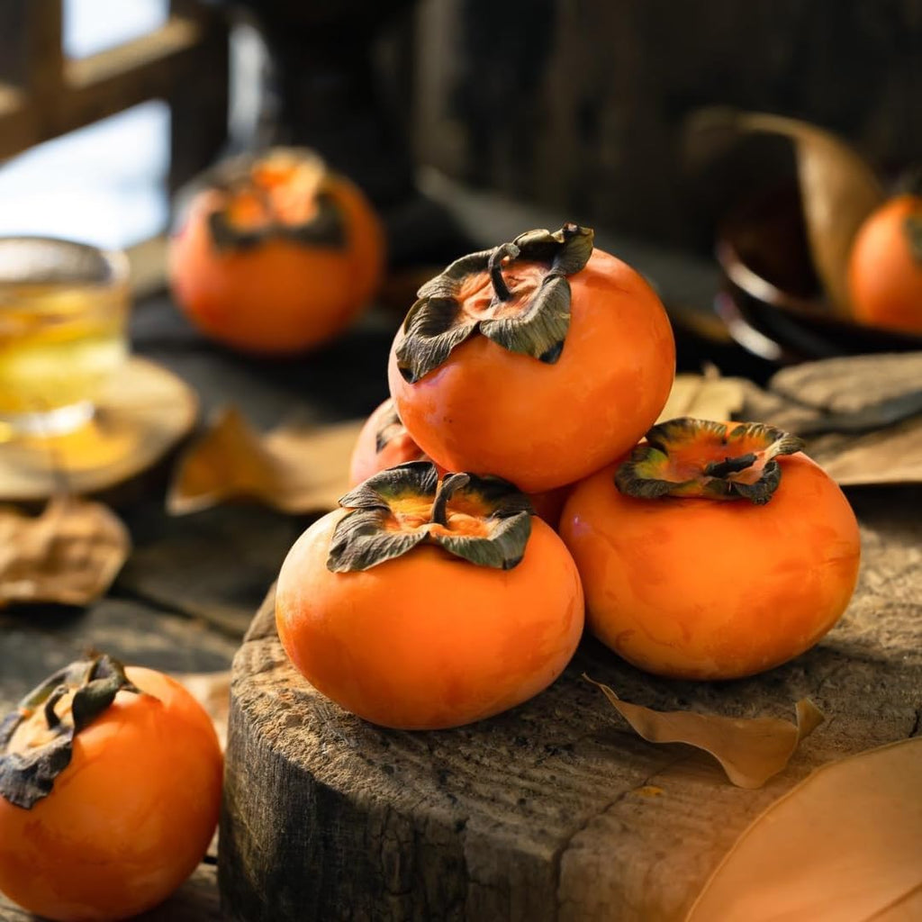 2 American Persimmon Tree for Planting – 12 to 24 Inch Tall Potted Live Fruit Plant | No Ship to CA