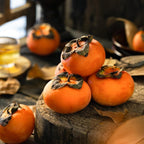 2 American Persimmon Tree for Planting – 12 to 24 Inch Tall Potted Live Fruit Plant | No Ship to CA