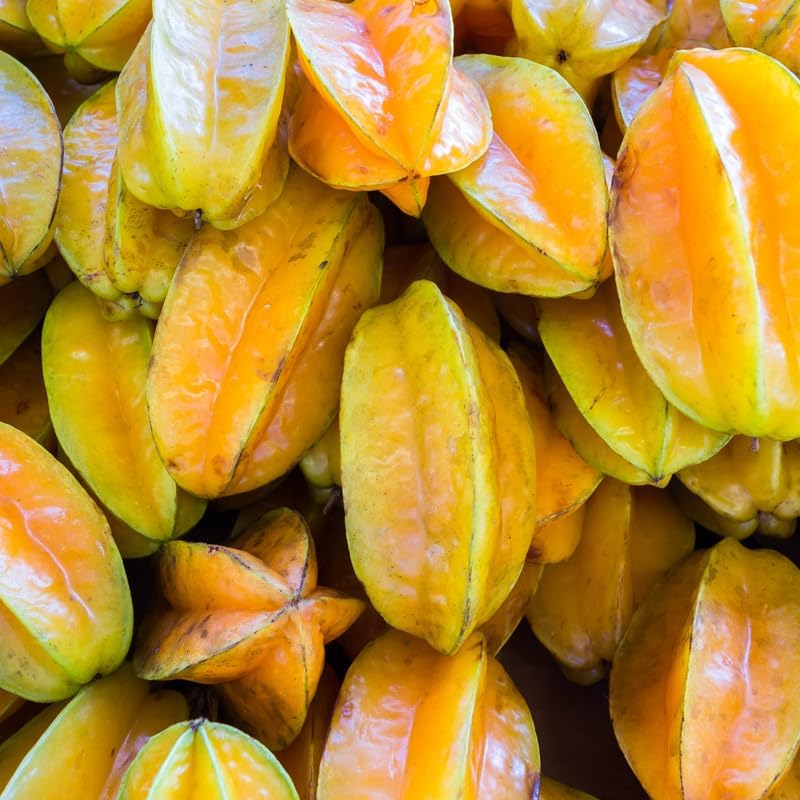 (No Ship to CA,HI,AK) Sweet Starfruit Live Plant, 3 Gallon Pot, Potted Tropical Fruit Tree Starter for Backyard and Large Containers
