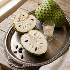 No Ship to CA, HI, AK, Soursop Plant Live, Guanabana Starter, 24-30" Tall in 1 Gal Container, Self-Pollinating Soursop for Fresh Juice and Smoothies