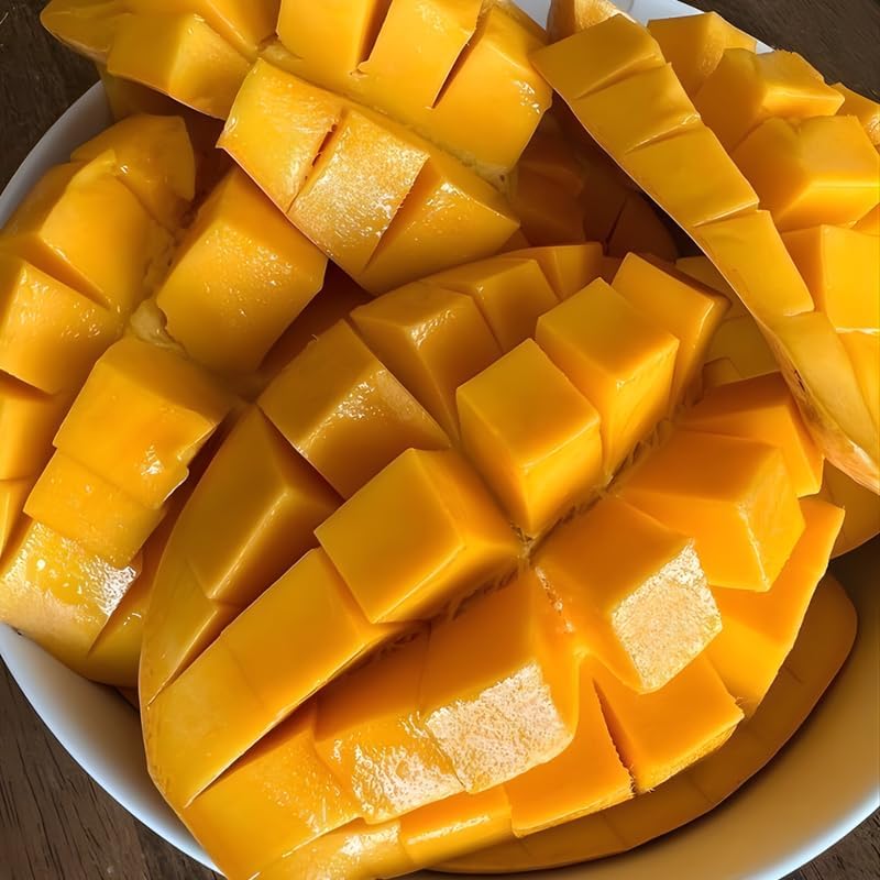 Mallika Mango Tree Live Plant | Fruit Tree 2–3 Ft Tall for Planting | Premium Tropical Mango Variety | Outdoor Fruit Tree for Yard, Patio & Garden Growing | No Ship CA, HI, AK