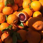 (No Ship to CA,HI,AK) Kishu Mandarin Oranges Tree Live Plant | 1 Gallon Live Potted Citrus Tree | Sweet Juicy Fruit for Cooking Juicing & Home Gardening