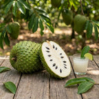 No Ship to CA, HI, AK, Soursop Live Plant, 24-30" Tall in 1 Gallon Pot, Exotic Guanabana Fruit Tree for Tropical Gardens and Patios