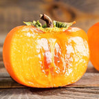 2 American Persimmon Live Tree – 12 to 24 Inch Tall Potted | Native Fruit Tree with Sweet Autumn Persimmons | Hardy, Long-Lived Tree for Outdoor Garden | No Ship to CA