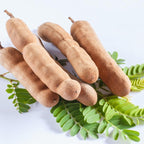 No Ship to CA, HI, AK, Sour Tamarind Fruit Tree, 2-3 Feet Size, 3 Gallon Pot, Well-Rooted Tropical Tree, Low Maintenance Fruit Plant for Sunny Outdoor Spots