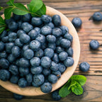 (No Ship to CA, HI, AK) Blueberries Tree Live Plants, 1-2 Feet Tall (1 Gal Pot) - Sweet Blue Berries Live Plants for Planting Outdoor