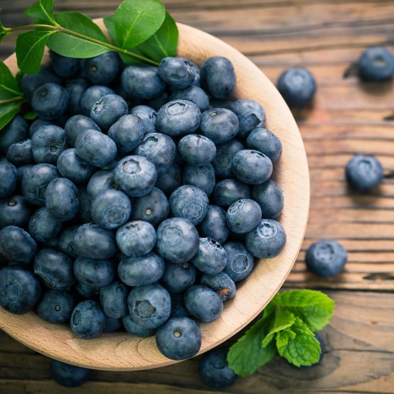 (No Ship to CA, HI, AK) Blueberries Tree Live Plants, 1-2 Feet Tall (1 Gal Pot) - Sweet Blue Berries Live Plants for Planting Outdoor