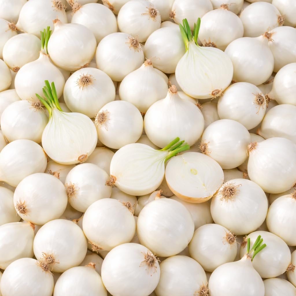 100 Red Onion Bulbs for Planting, Non-GMO, High Yield Onion Sets, Fast-Growing Vegetable Bulbs for Outdoor Gardens, Raised Beds & Containers